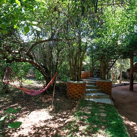 The Thick Forest Sigiriya Exteriér fotografie