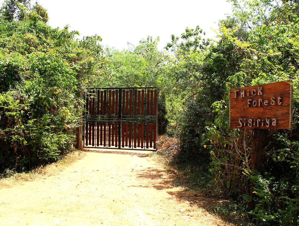The Thick Forest Sigiriya Exteriér fotografie