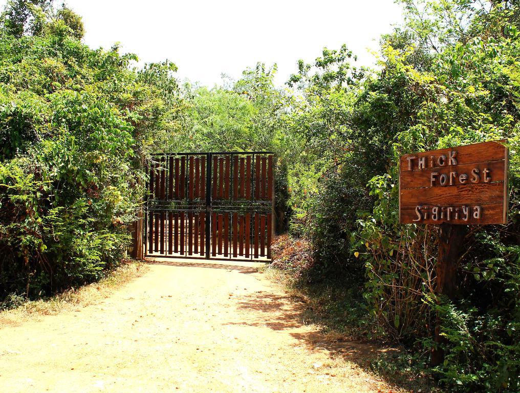 Vila The Thick Forest Sigiriya Exteriér fotografie