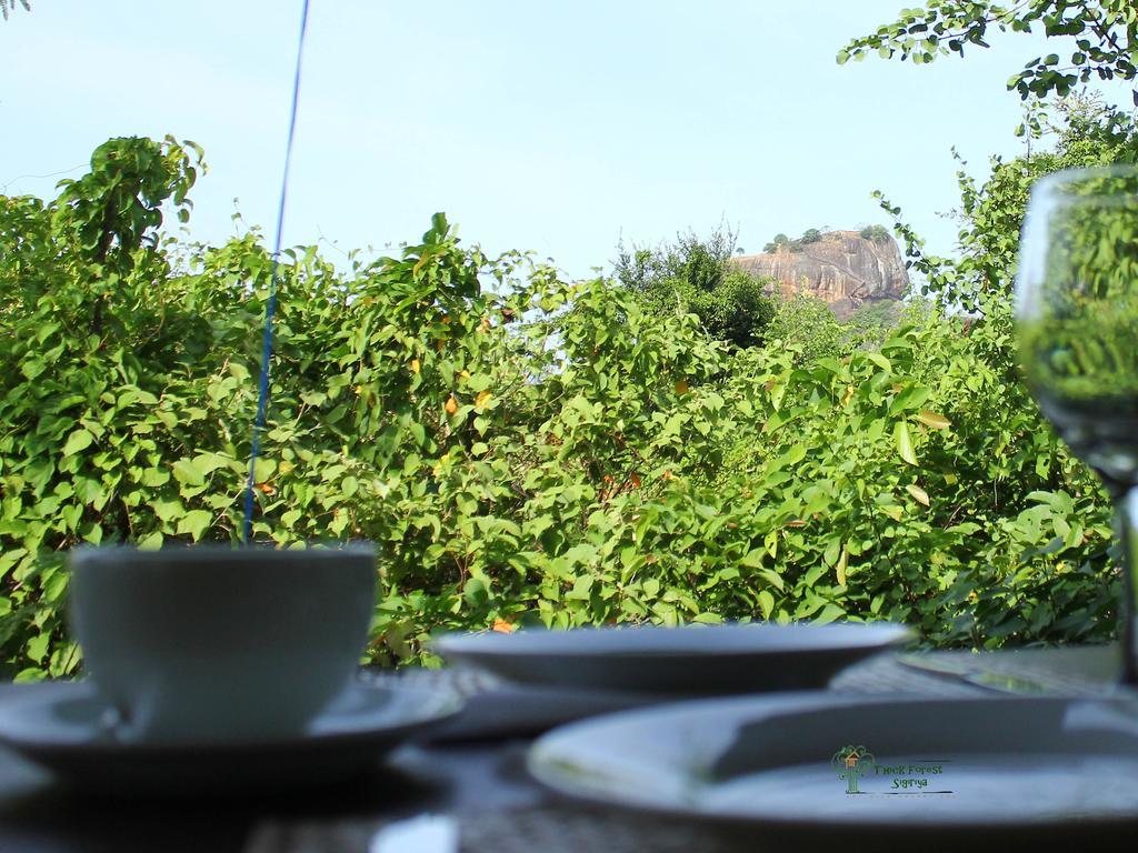 Vila The Thick Forest Sigiriya Exteriér fotografie