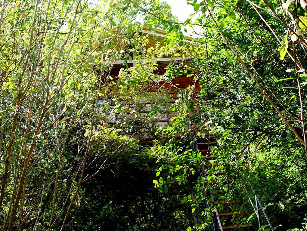 Vila The Thick Forest Sigiriya Pokoj fotografie