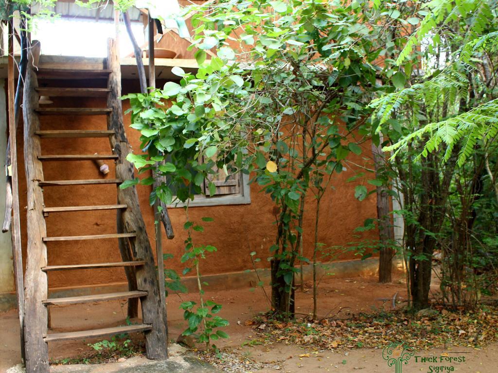 Vila The Thick Forest Sigiriya Exteriér fotografie