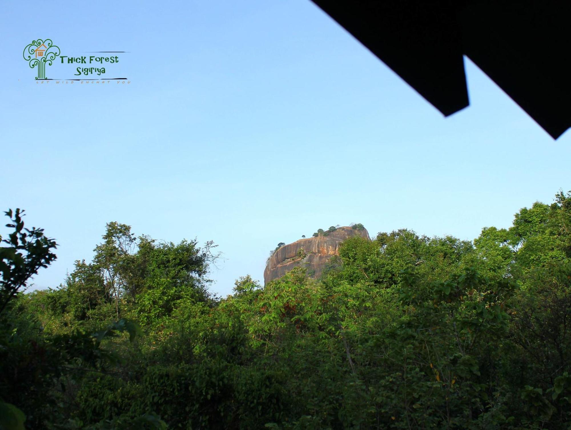 Vila The Thick Forest Sigiriya Pokoj fotografie