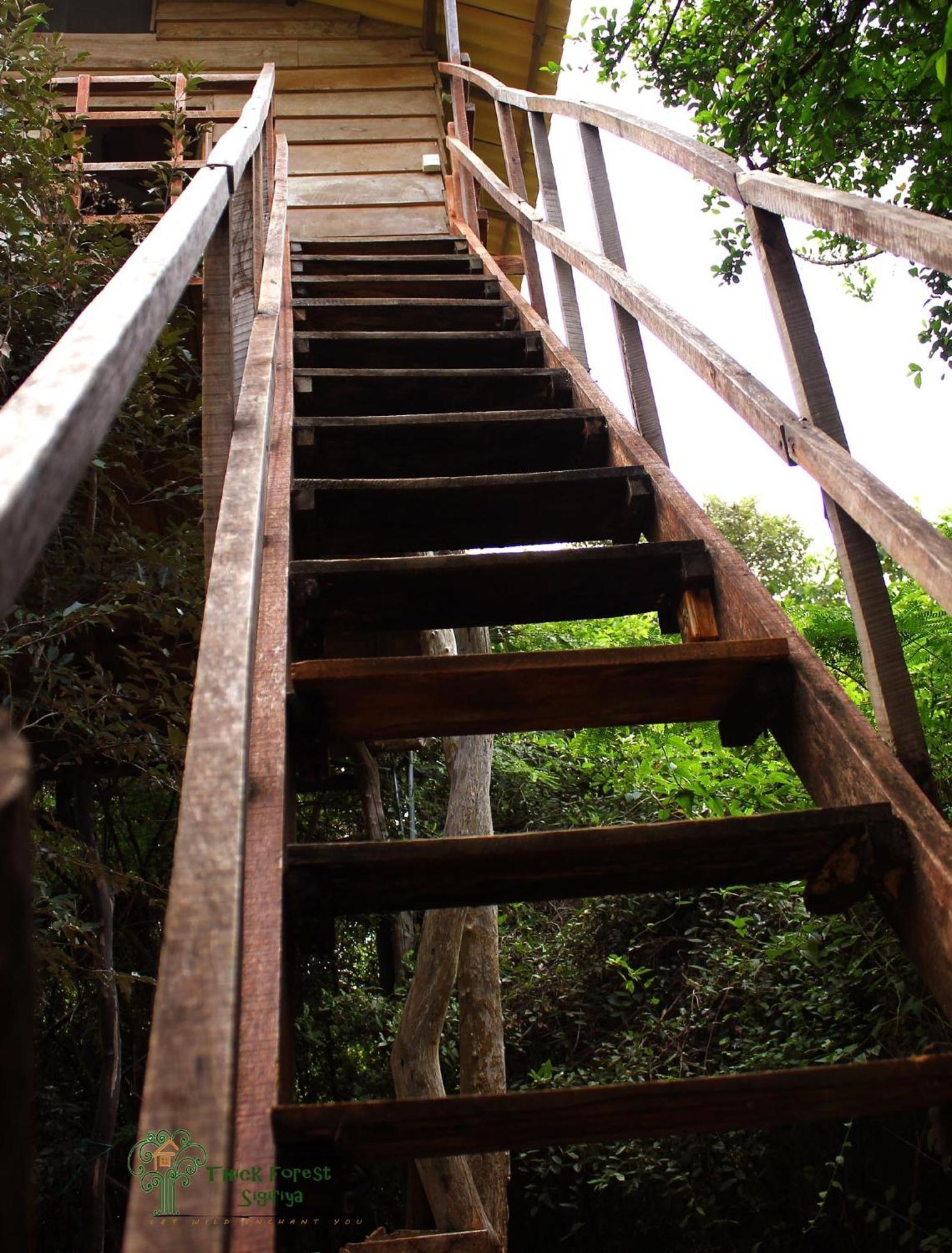 Vila The Thick Forest Sigiriya Pokoj fotografie