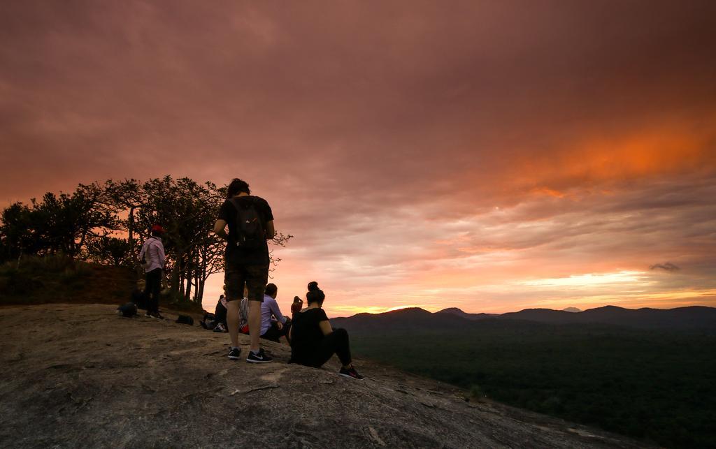 The Thick Forest Sigiriya Exteriér fotografie