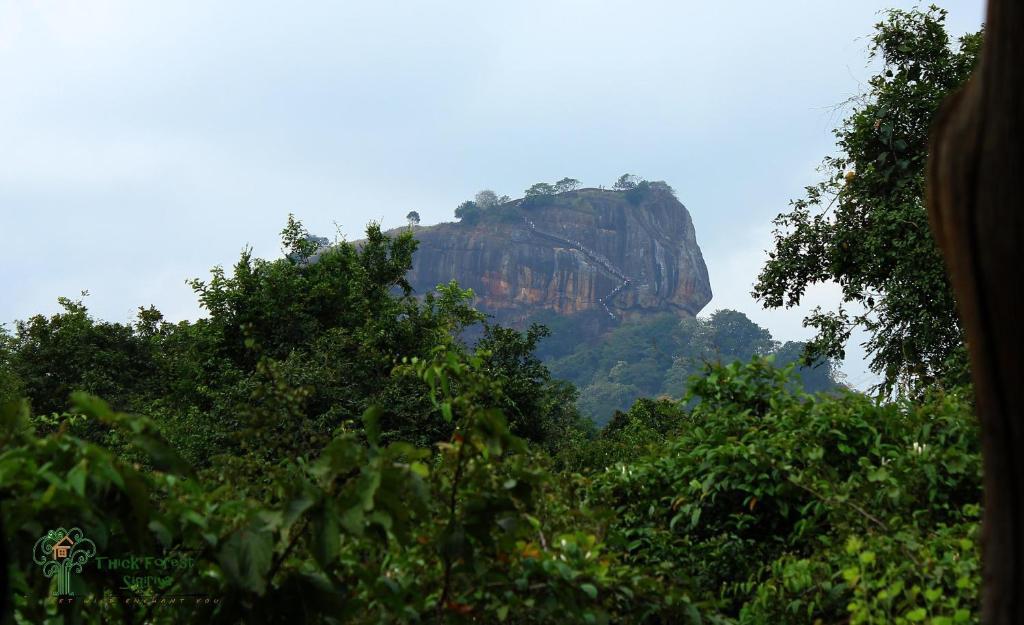 The Thick Forest Sigiriya Exteriér fotografie