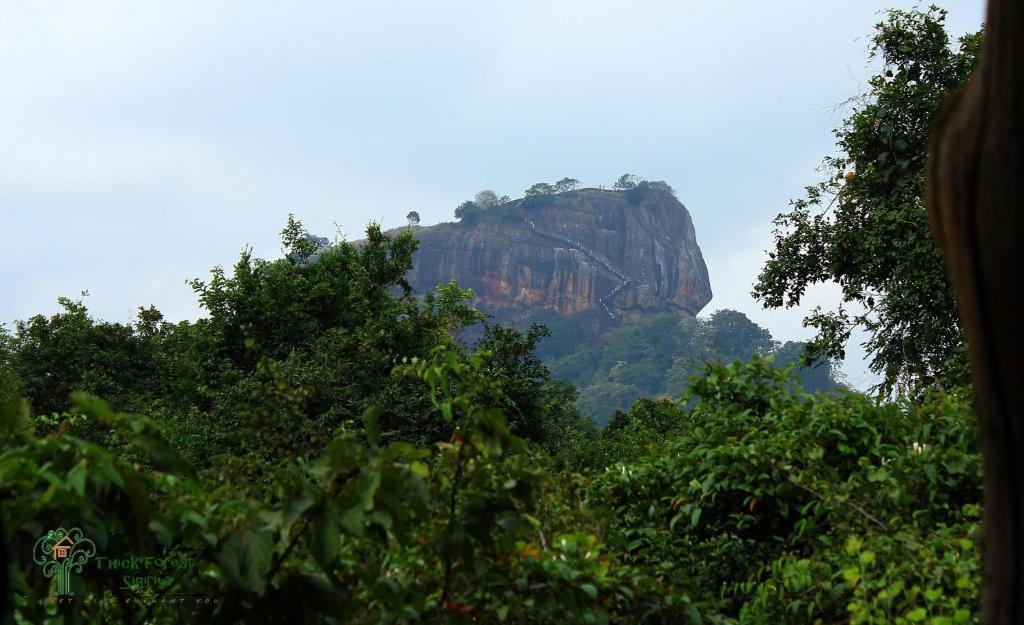 Vila The Thick Forest Sigiriya Exteriér fotografie